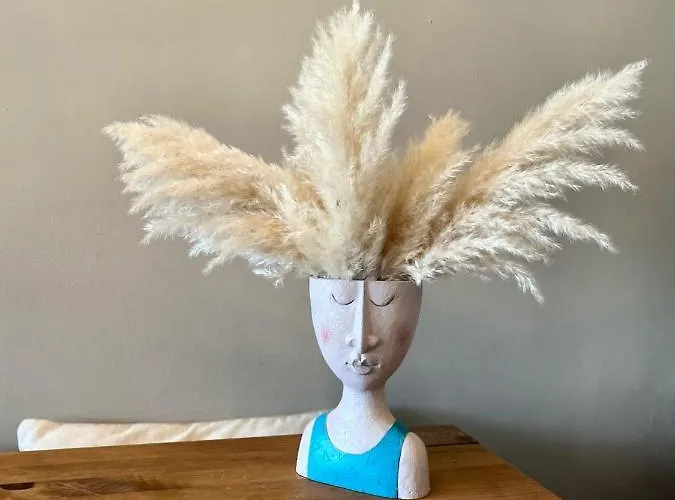 House Hébergement de vacances Honfleur